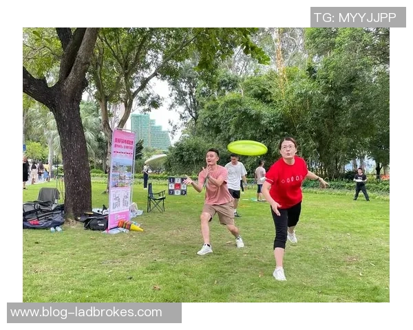 飞盘飞扬：深圳飞盘队的成长历程与奋斗故事